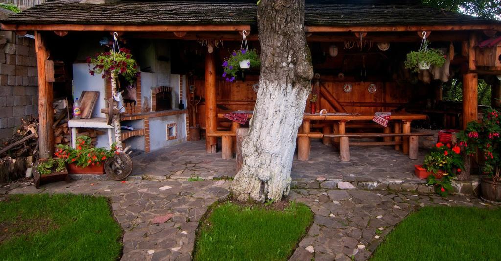 Pension Casa Contelui Rîşnov Dış mekan fotoğraf